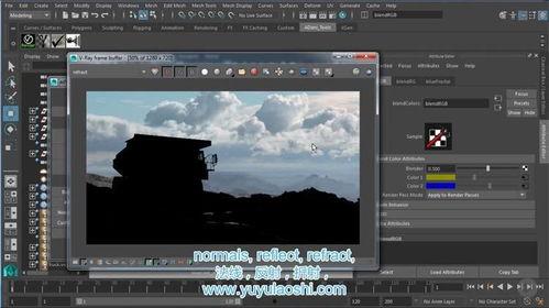 青草视频中文字幕